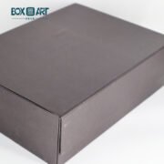 Gift box with ribbon, packaging box